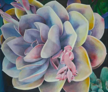 Spring Flingby Tara Esperanza, Oakland CA 