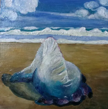 Man O Warby Tara Esperanza, Oakland CA 