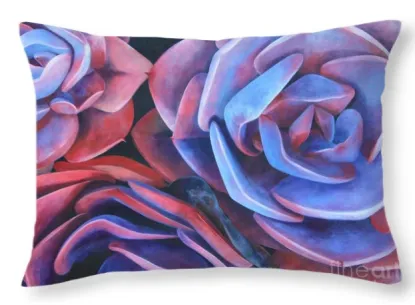 Everything's Coming Up Roses Horizontal Pillow Succulents by Tara Esperanza | $52.00