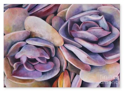 Sisters Note Cards Succulents by Tara Esperanza | $6.95