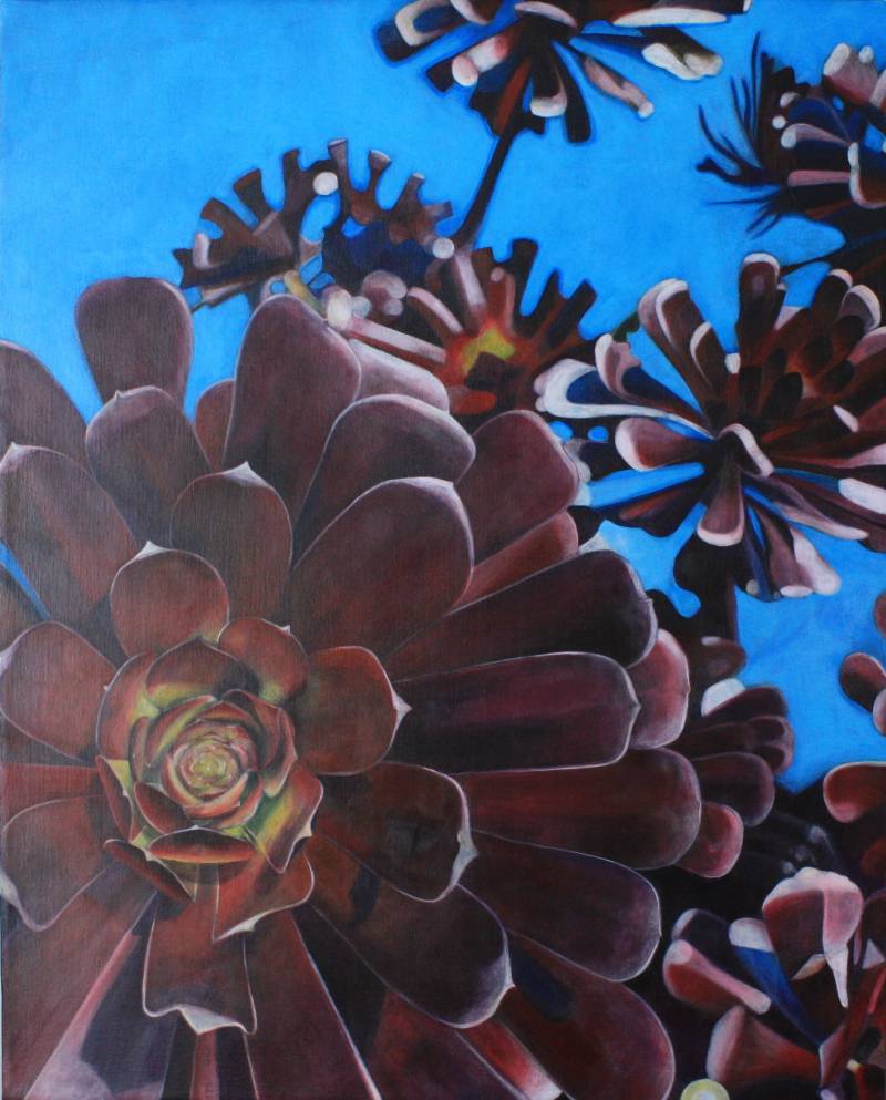 Black Rose. Blue Sky