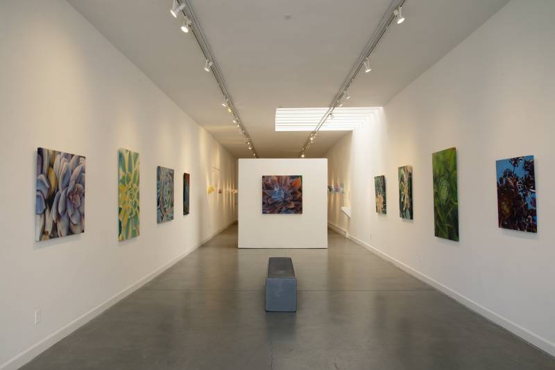 The Succulent Garden