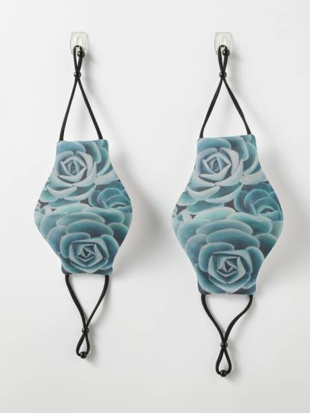 face-mask-echeveria-imbricata-hanging.jpg