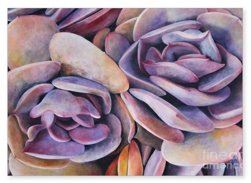 Sisters Notecard Succulents 